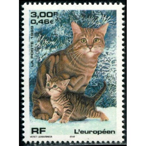 4 images 1 mot chien 6 lettres montrer